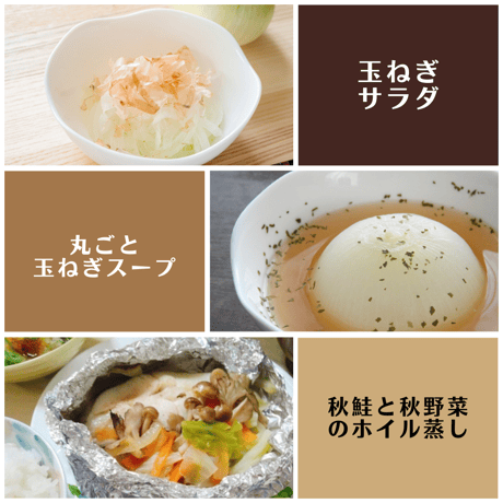 【農場直送】ふじい農場秋野菜セット