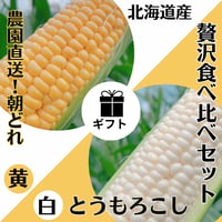 【朝どれ産直！】定番で芳醇な黄×リッチな甘みの白贅沢とうもろこし食べ比べセット L2L10本【送料込】