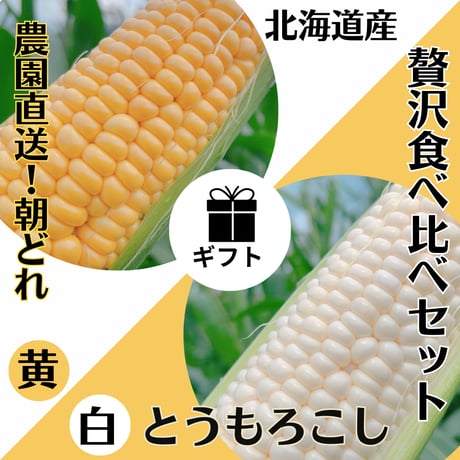 【完売御礼】【まとめてお得！】【朝どれ産直！】定番で芳醇な黄×リッチな甘みの白贅沢とうもろこし食べ比べセット 10本×２セット【送料込】