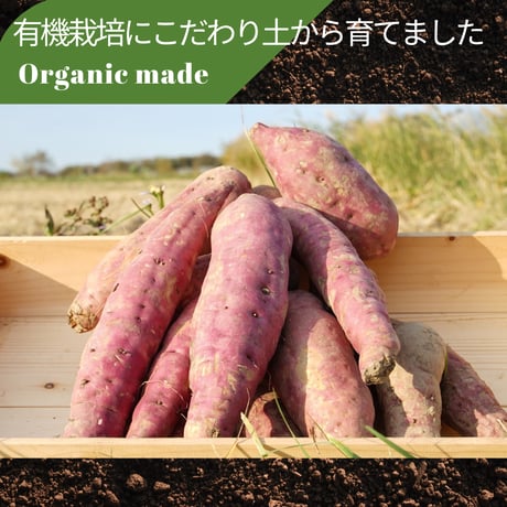 【今期初物】北海道産！オーガニックさっぽろさつまいも「紅はるか」4Kg★JAS認定有機農産物