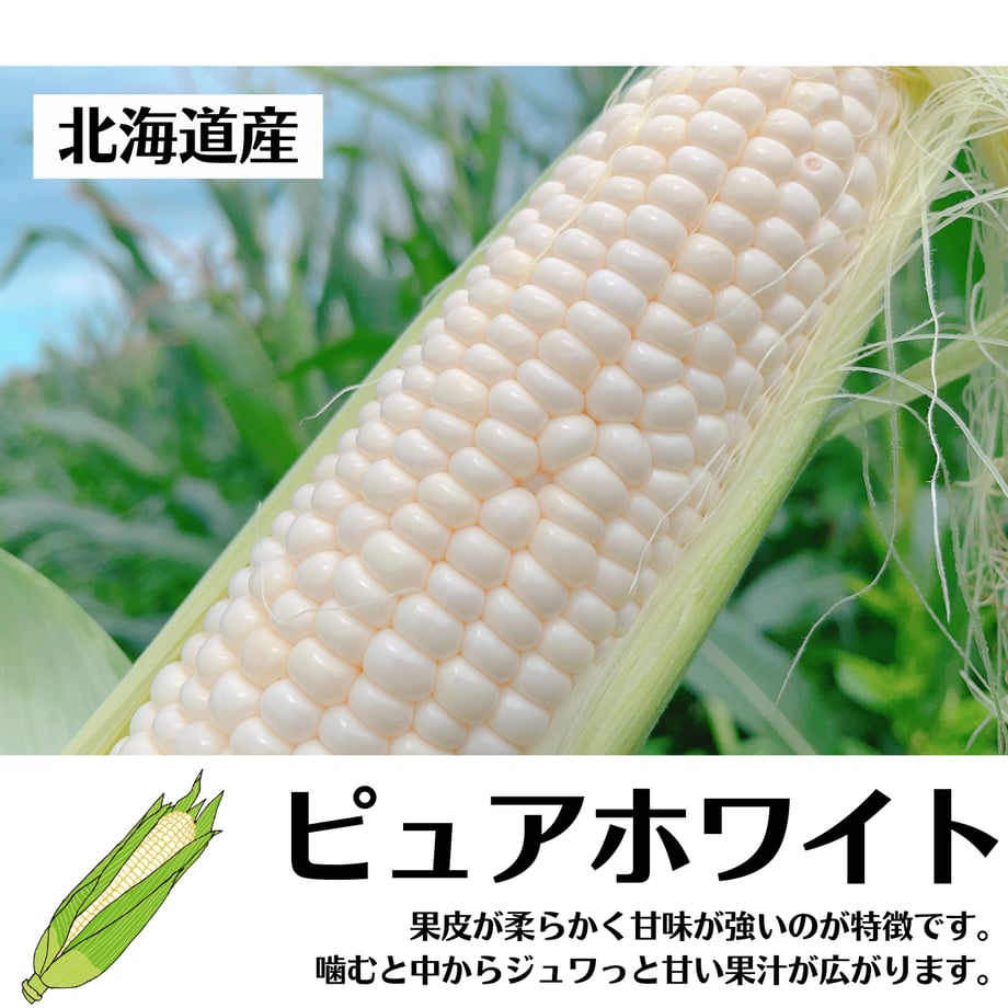 66c32c85827c020730467388