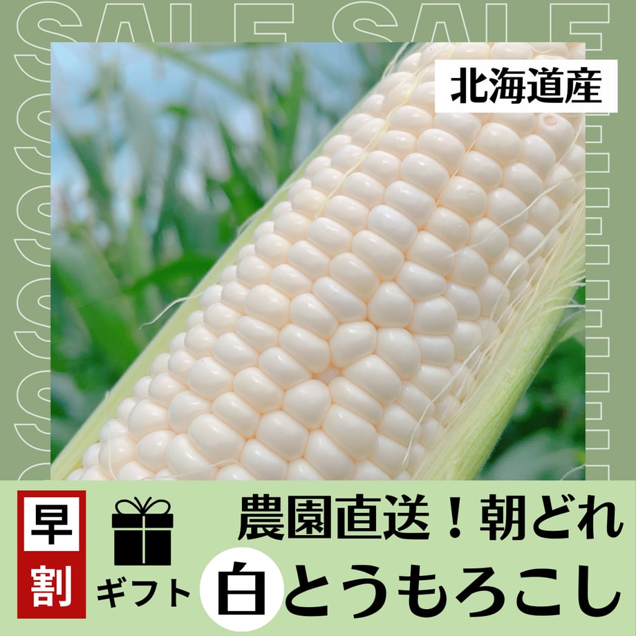 668755b28ae178002fcbbc37