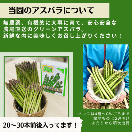 【2026年新物入荷】北海道の春の味！春の恵で栄養たっぷりアスパラ！L900g（送料込み）