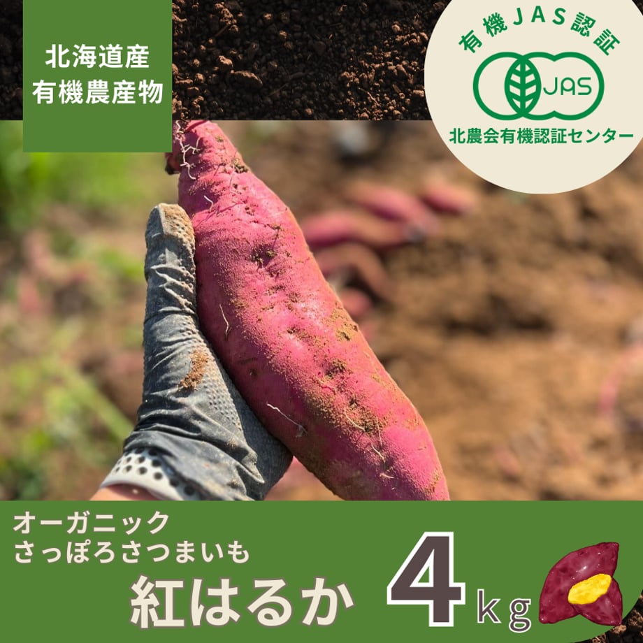 670509fe835a67080b380317