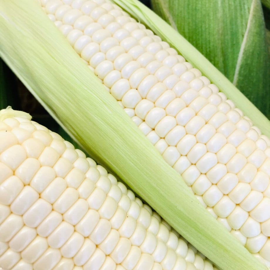 5f4767e1d7e1d83e04e0ba3a