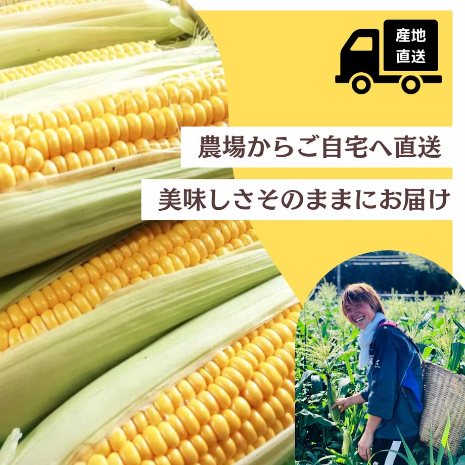 66aa5122df6a590a6ab64ebe