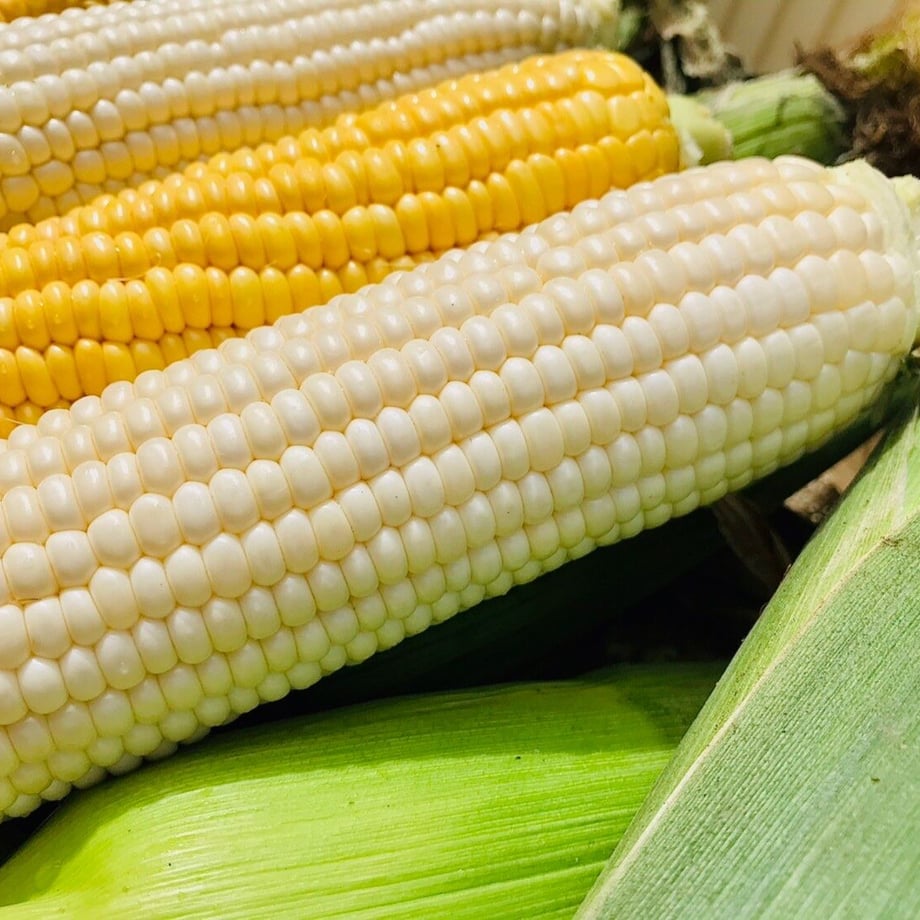 5f4767e1d7e1d83e04e0ba3a
