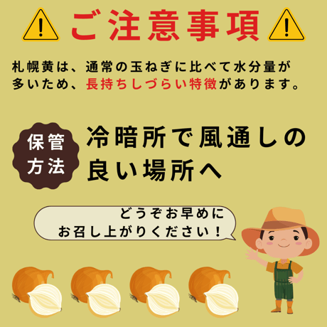 【農場直送】ふじい農場秋野菜セット