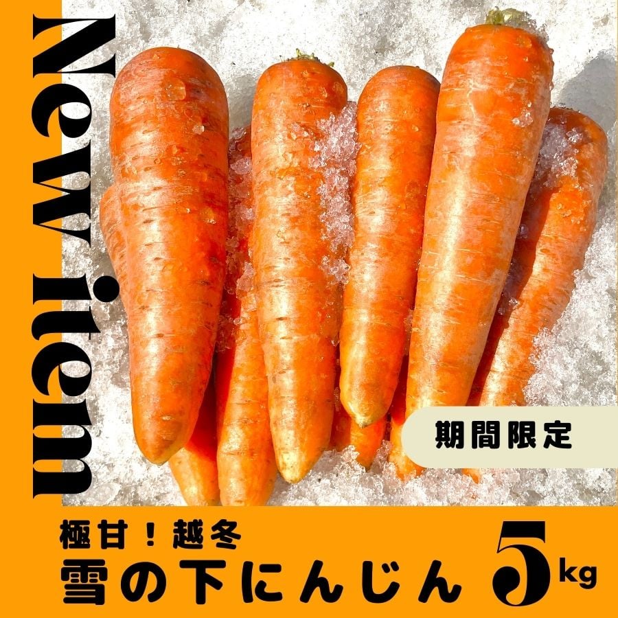 今期最終】とにかく甘〜い!北海道特産「雪の下にんじん」5 今期最終】とにかく甘〜い!北海道特産「雪の下にんじん」5