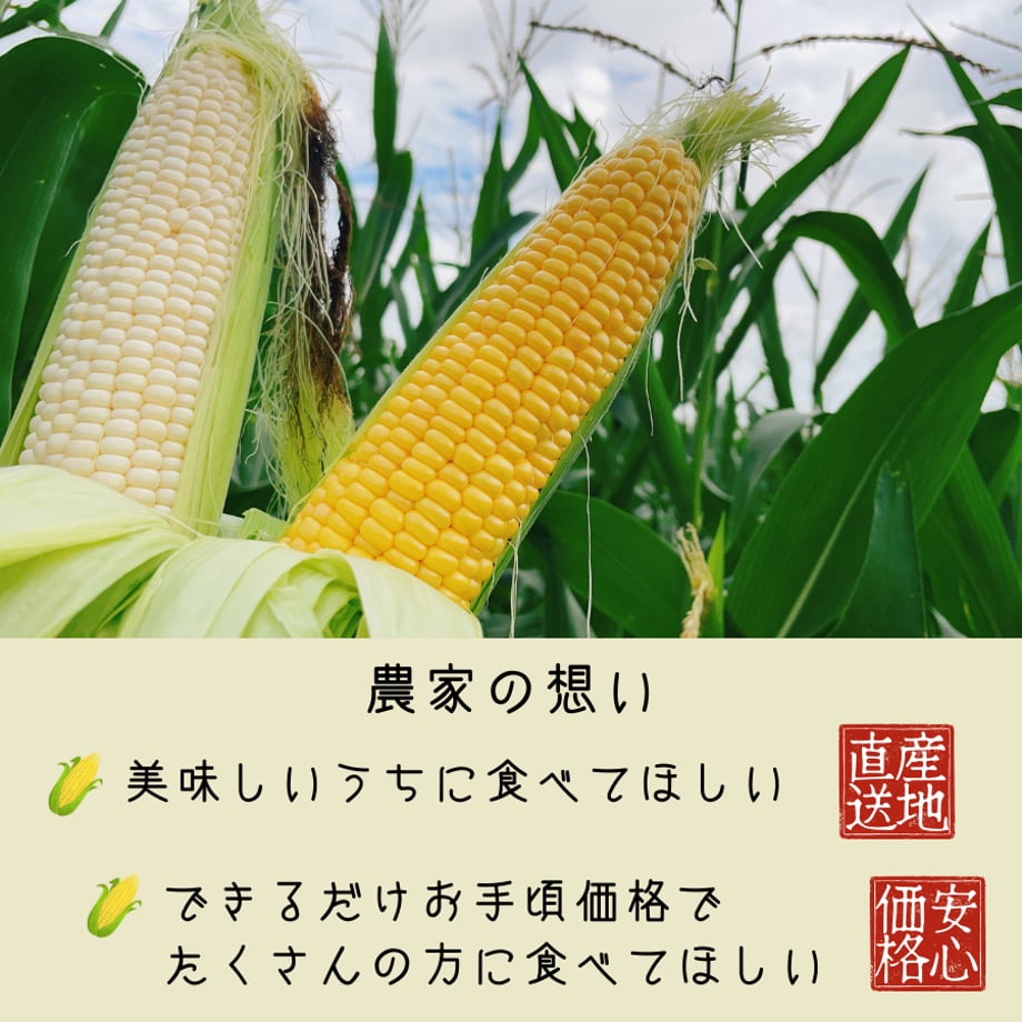 6698b508af9b6b00c0cdcf94