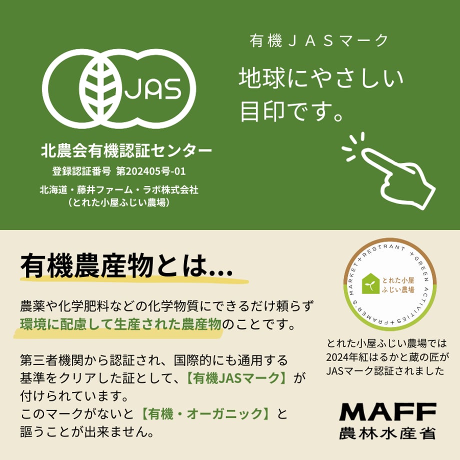 670509fe835a67080b380317