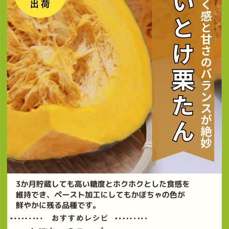 【農場直送】ふじい農場秋野菜セット