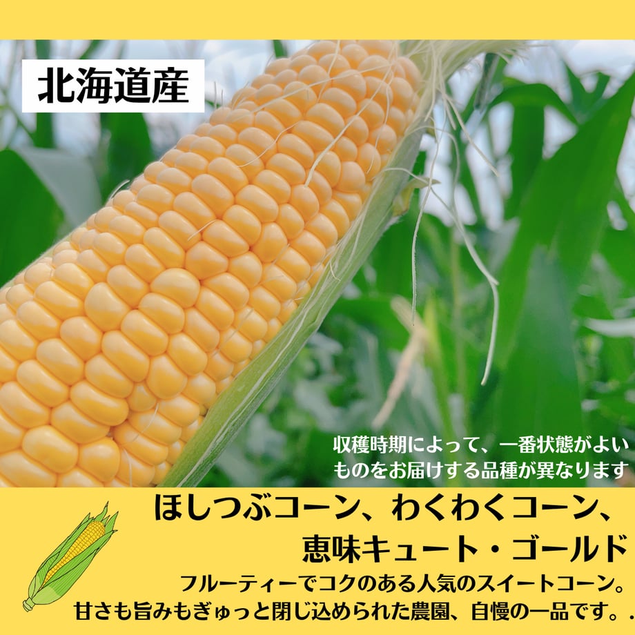 66aa5122df6a590a6ab64ebe