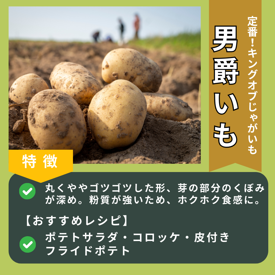 完売御礼】【数量期間限定/訳あり特価】100日寝かせ芋SSサイズ