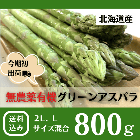 【出荷中】北海道の春の味！春の恵で栄養たっぷりアスパラ！800g（送料込み）