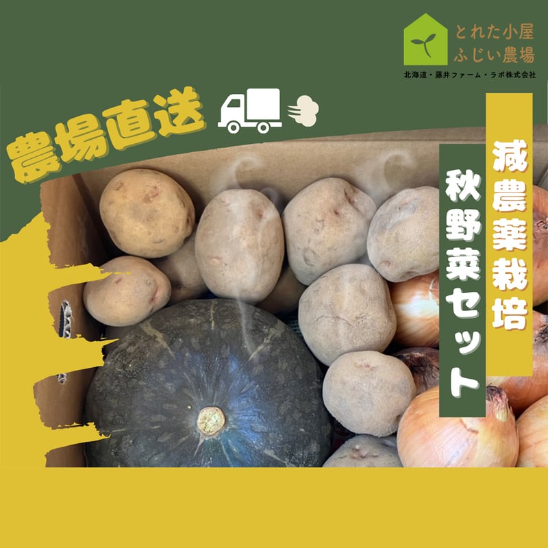 農場直送】ふじい農場秋野菜セット | とれた小屋ふじい農場