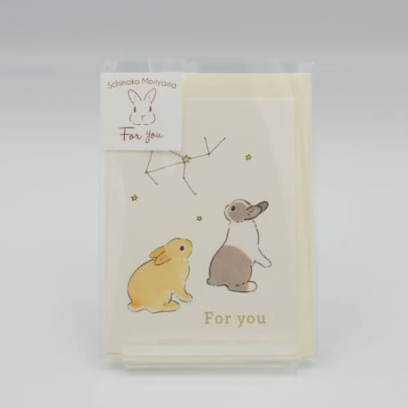 mini  card / constellation [ Schinako ]