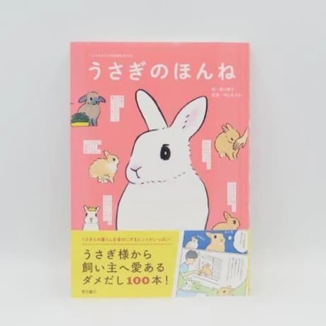 rabbit | STORES