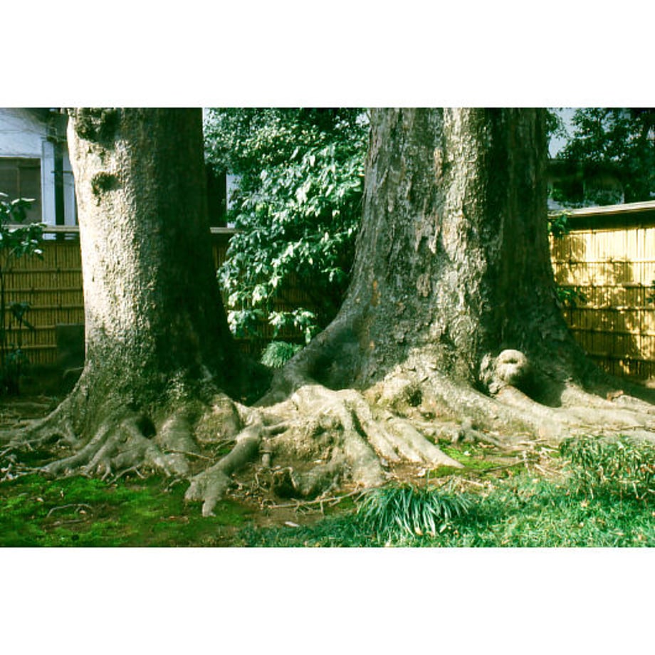 602099ebaaf043014d6db1f2