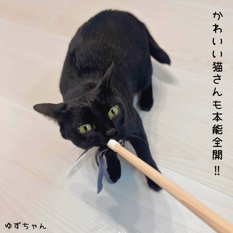 鹿革ぱたぱた スティックタイプの猫じゃらし | 山猫本舗