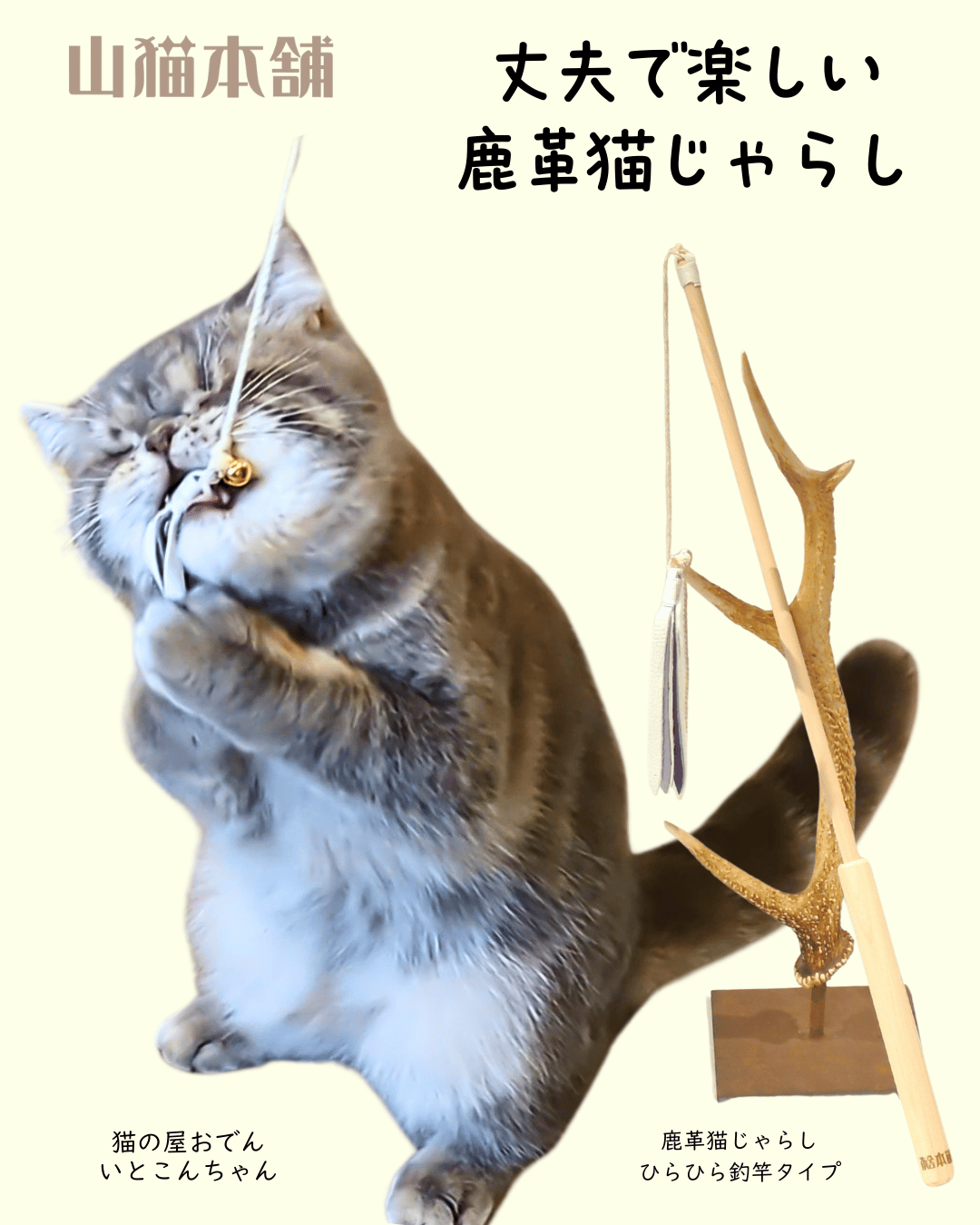 CATEGORY For Cats（猫） | 山猫本舗