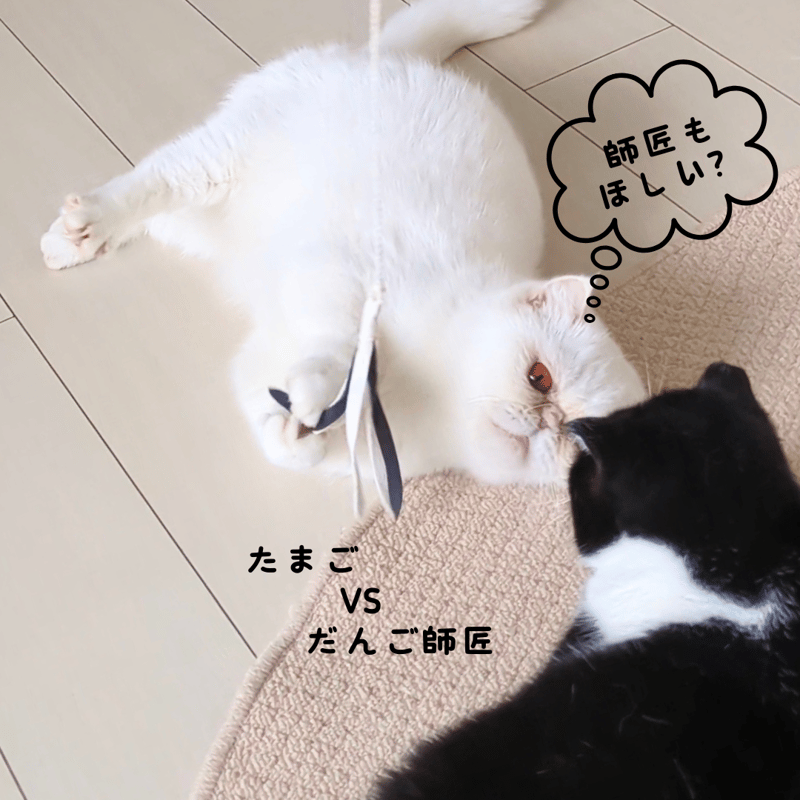 鹿革ひらひら 釣竿タイプの猫じゃらし | 山猫本舗