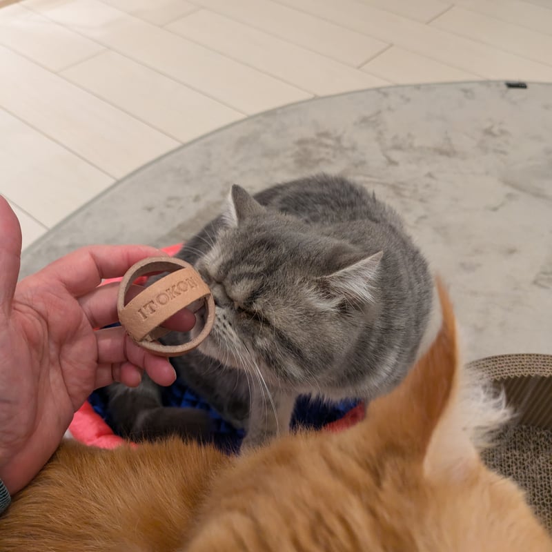 転がる猪革『猪球(いのたま)』ボール状の猫玩具です。 名入れ(刻印