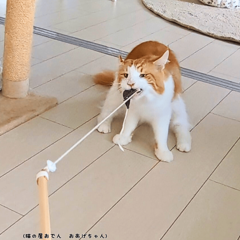 鹿革猫じゃらしプレミアム（釣り竿タイプの鹿革猫じゃらし）ネイビー