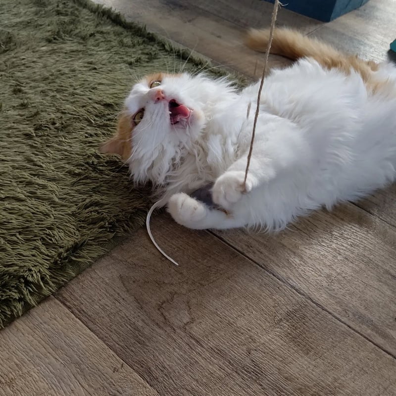鹿革猫じゃらしプレミアム（釣り竿タイプの鹿革猫じゃらし）ネイビー