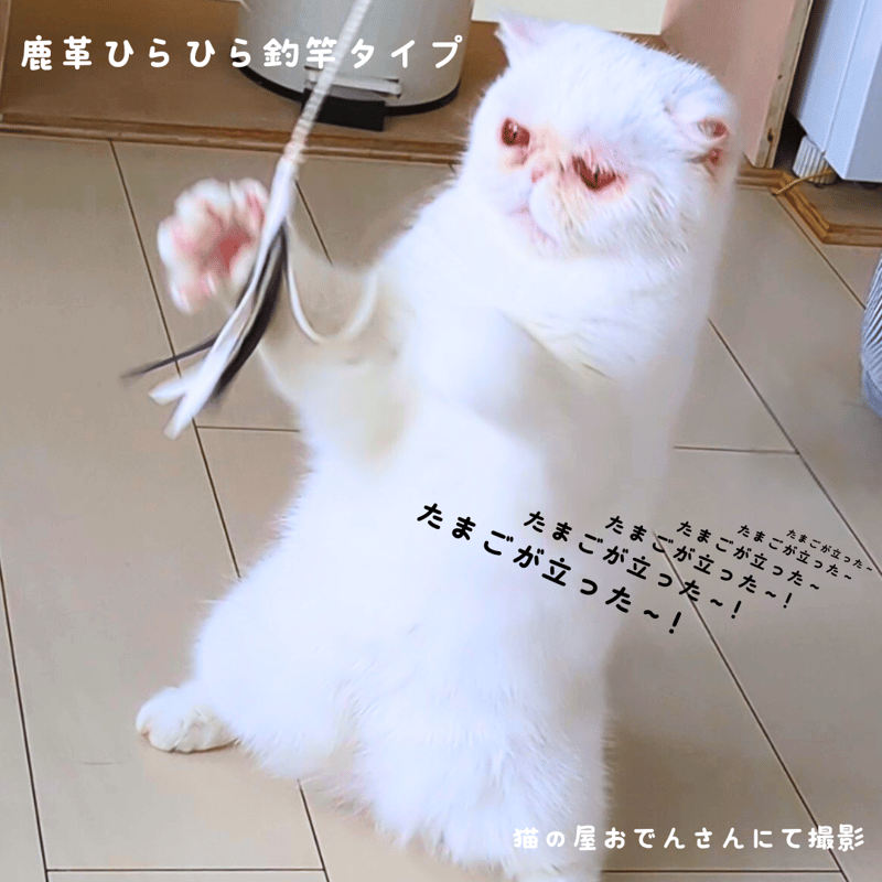 鹿革ひらひら 釣竿タイプの猫じゃらし | 山猫本舗