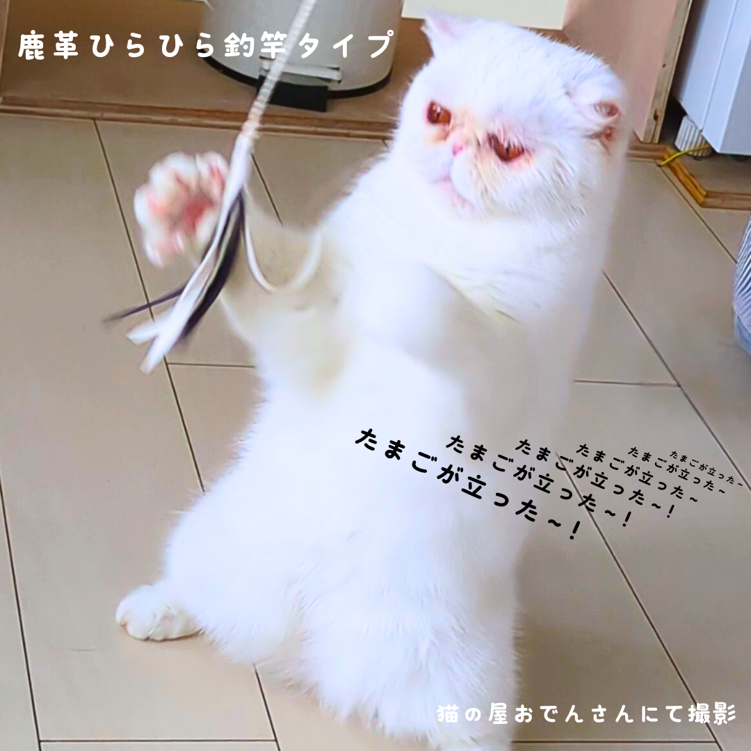山猫本舗 猪革 猫じゃらしセット【caccia（カッチャ）】釣り竿タイプ