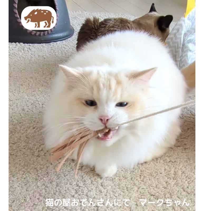 猪革猫じゃらしレギュラー（釣り竿タイプの猪革猫じゃらし） | 山猫本舗