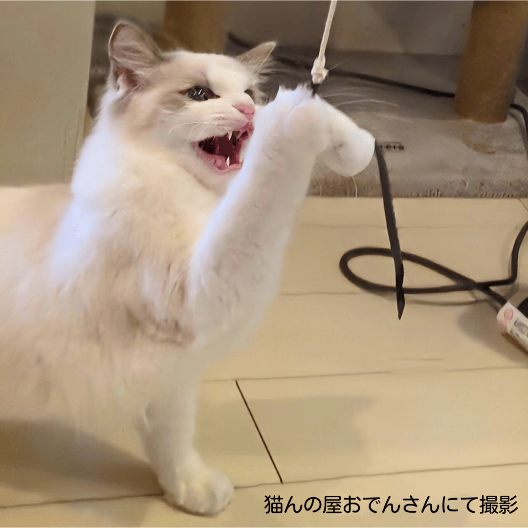 じゃれねこ『7月☆32 人魚♡③』 白い鹿革猫じゃらしレギュラー（釣り竿タイプの鹿革猫じゃらし