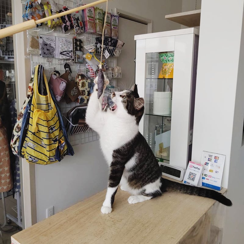 鹿革猫じゃらしプレミアム（釣り竿タイプの鹿革猫じゃらし）ネイビー