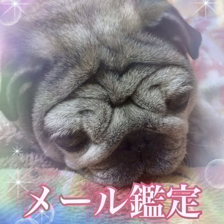 メール鑑定