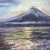 富士山絵画 Amazon.co.jp: 富士山 アートパネル 白雲 絵 レイクライト 赤