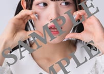 Bluegreen ERINA 　No.015ンロード