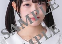 Bluegreen ERINA 　No.011ウンロード