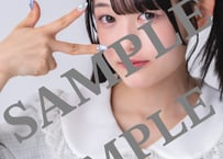 Bluegreen ERINA 　No.013ウンロード