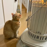 【オーダー】にゃんまる様専用　絵画制作料として