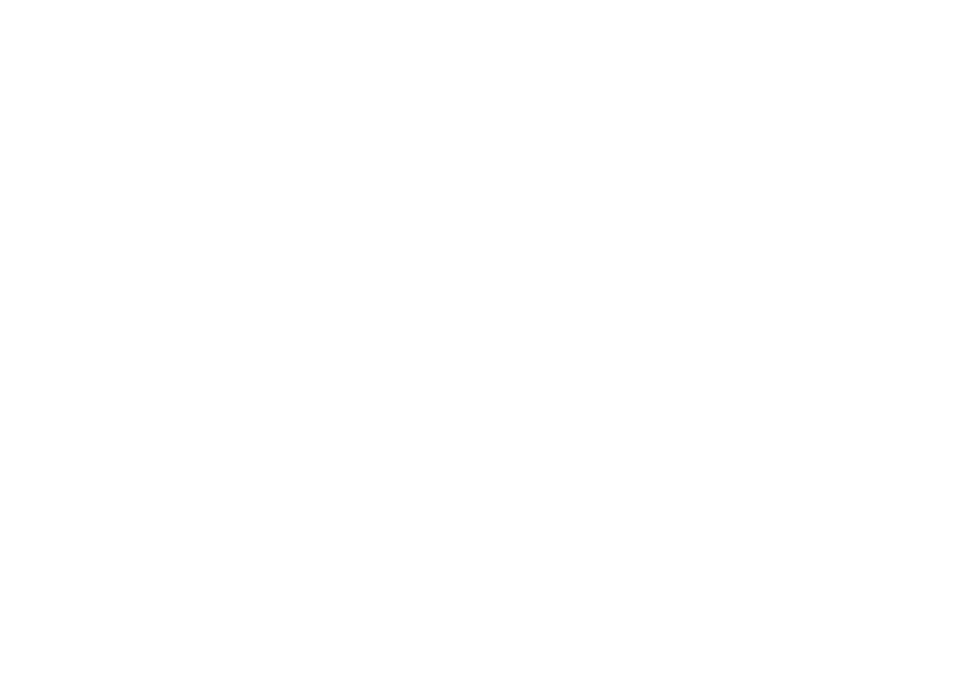 the Loupes STORE