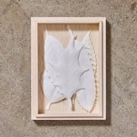 HAKO　冬　5枚　箱入り　Winter