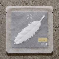 Winter HAKO Sweet Ginger 生姜