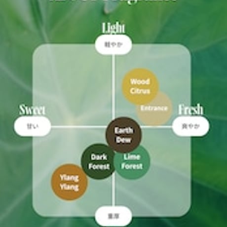 【Heavy】Arbor Hair Oil 100ml / Wood Citrus