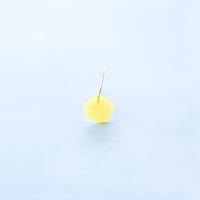フープピアス （片耳）　イエロー　hoop pierce HP-P2