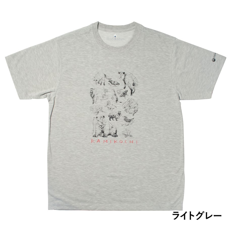 64082ac0c808a46911efc266