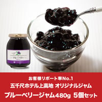 【オトク定期便】ブルーベリージャム 480g 5個セット-KAM