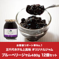 【オトク定期便】ブルーベリージャム 480g 12個セット-KAM