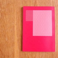 Indus&Rocks 20th ANNIVERSARY ZINE「 for 20 」