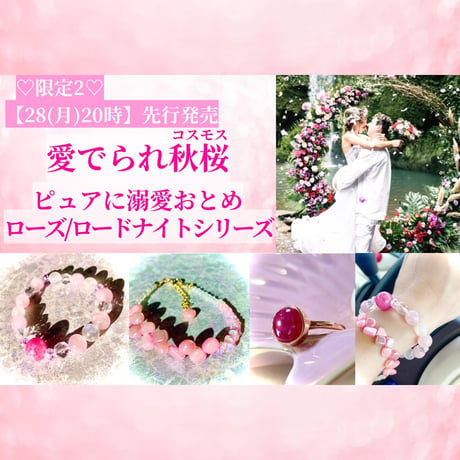 【限定1】愛でられ秋桜・溺愛おとめロードナイトリング